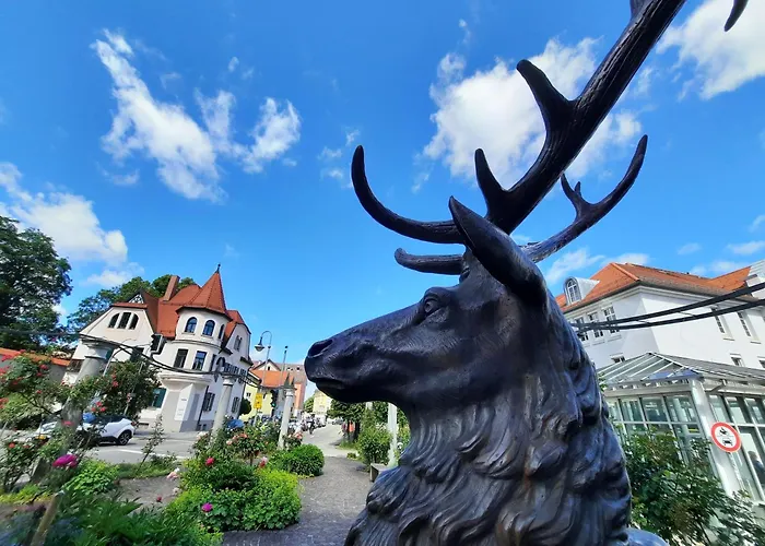 康尼赫施洛瑟度假公寓 公寓 福森