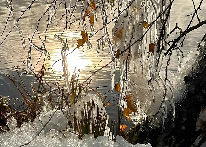 公寓 康尼赫施洛瑟度假公寓 *